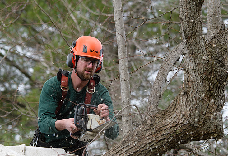 Tree Pruning